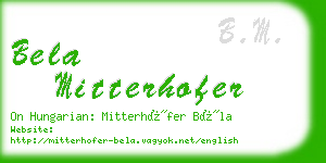 bela mitterhofer business card